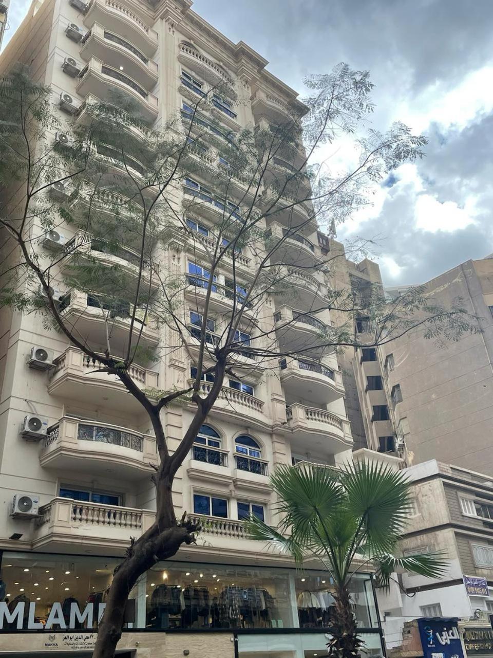 Luxury Apartment